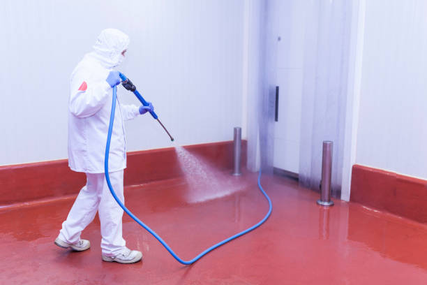 Best Rust Removal  in Kissimmee, FL